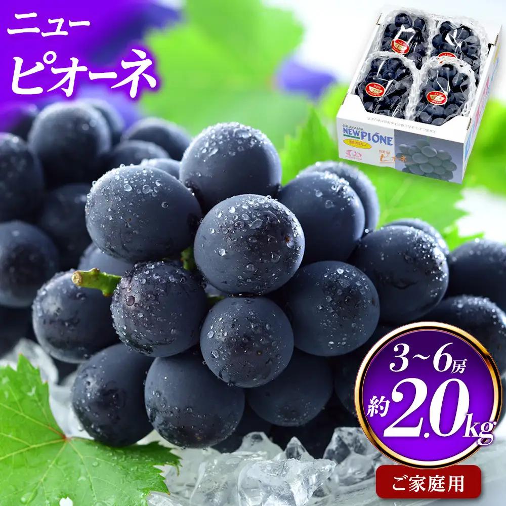 ご家庭用 ニュー ピオーネ 3～6房 約2kg ｜  ピオーネ