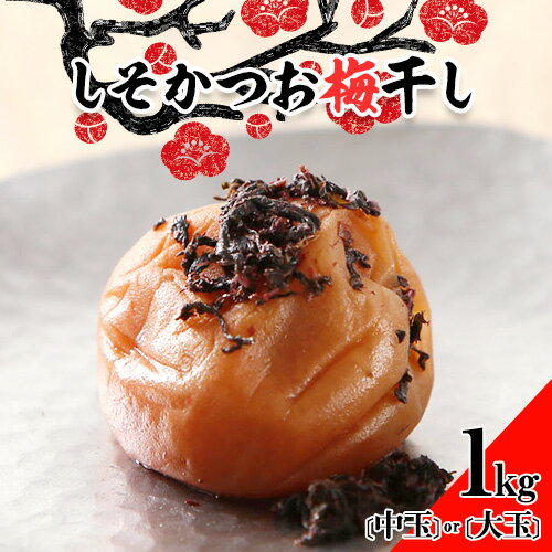 【ふるさと納税】 梅干し しそかつお梅干し 1kg 選べる 中玉 2L 大玉 3L 和歌山県産 株式会社とち亀物産 《30日以内に出荷予定(土日祝除く)》 和歌山県 日高町 梅 うめ しそ かつお 梅干し うめぼし 紀州南高梅 漬け物 漬物 ごはんのお供