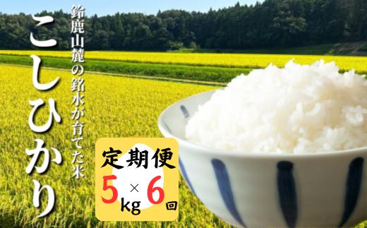 ＜定期便＞【令和7年度先行予約】こしひかり 5kg 鈴鹿山麓の銘水が育てた米、米どころ三重県産小山田地区「こしひかり」5kg【6ヶ月】小山田米