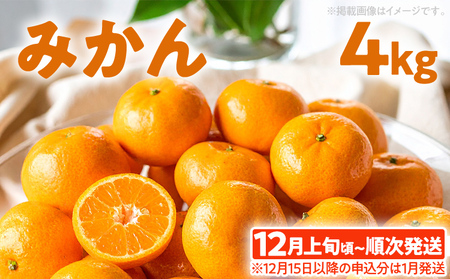 期間限定 みかん フルーツ 果物 くだもの 4kg 柑橘 甘い 濃厚 ジューシー 産地直送 デザート おやつ オレンジ 福岡県 福岡 九州 グルメ お取り寄せ 【12月上旬頃から順次発送】