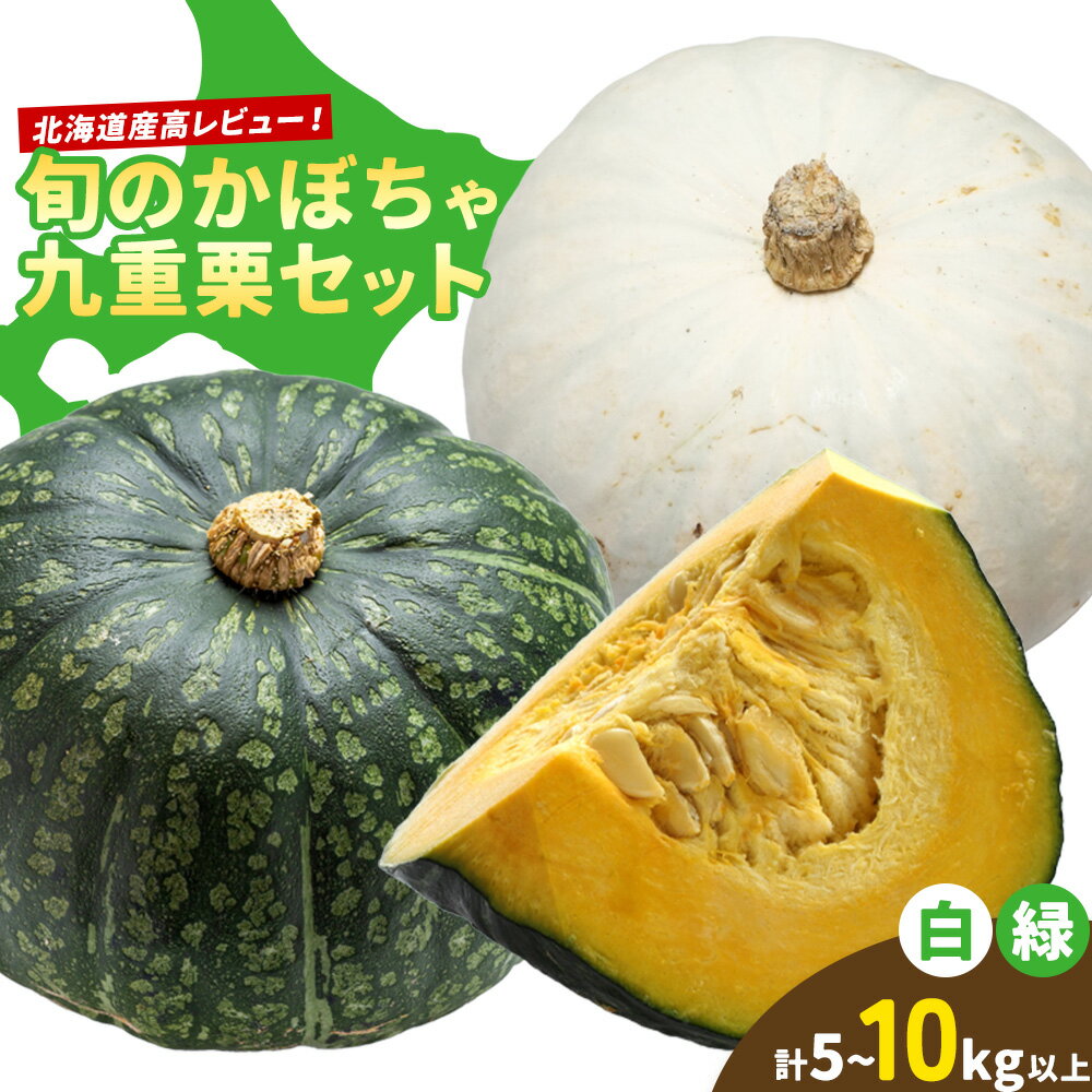 【ふるさと納税】選べる内容量 5kg 10kg かぼちゃ 九重栗 白い九重栗かぼちゃ 2026年先行予約 おかだ農園 朝採り 産地直送 北海道 十勝 浦幌町 南瓜 カボチャ 旬 完熟 甘い ホクホク 離乳食 安心 安全 こだわり栽培 送料無料 《9月中旬-11月上旬出荷》