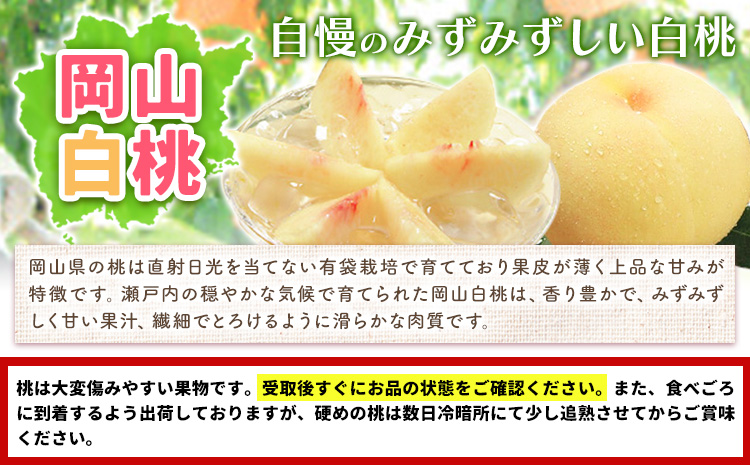 【2026年先行予約】岡山白桃 と シャインマスカット 詰合せ  環山堂株式会社《2026年7月中旬-8月上旬頃出荷》【配送不可地域あり】（北海道・沖縄・離島）---124_c2266_7b8a_25