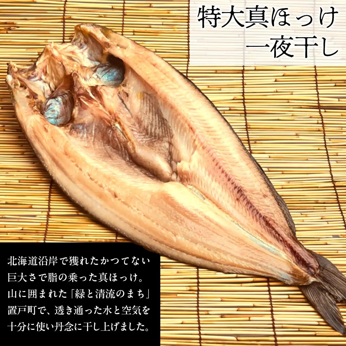 超特大真ほっけ一夜干し  OTB008