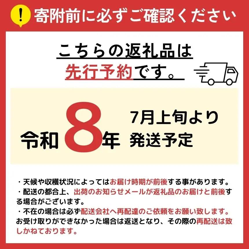 信州大実 大玉 生あんず 約1kg 500gパック×2 [おぶせファーマーズ] 期間限定 数量限定 果物 フルーツ 杏 あんず 生食 加工 令和8年産【2026年7月上旬～中旬発送】［F-52］