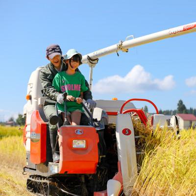 ふるさと納税 十日町市 生産農家直送!生産地・生産者限定魚沼産コシヒカリ「イネノハ」精米(3kg×1袋) |  | 02