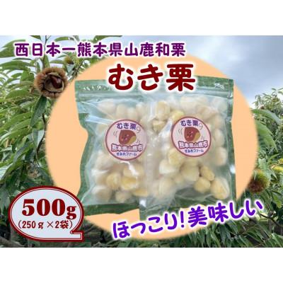 ふるさと納税 山鹿市 熊本県山鹿和栗【冷凍むき栗】(500g)