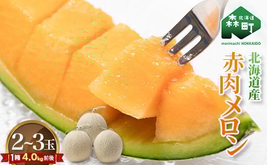 【先行予約】北海道森町産赤肉メロン2～3玉入り（1箱4kg前後）23年6月上旬～8月上旬頃順次発送＜道産ネットミツハシ＞ 森町 メロン 果物 赤肉 北海道産 ふるさと納税 北海道