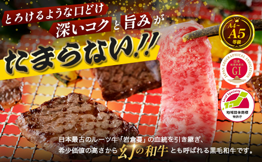 【比婆牛】A5〜A4ランク ロース2種焼肉セット 400g | 牛肉 黒毛和牛 お肉 焼き肉 焼肉 やきにく 焼肉セット 食べ比べ 広島県
