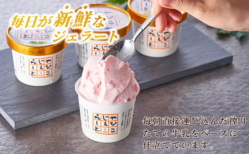 絞りたて牛乳で製造した『やひこジェラート』16個 酒粕 いちご 巨峰 枝豆