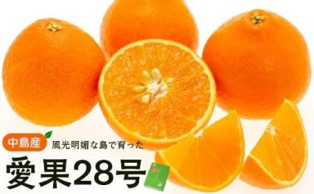 【12月上旬から発送】 中島産 手詰め愛果（あいか） L～3Lサイズ （ 愛媛産 愛媛県産 国産 愛媛みかん 愛媛蜜柑 愛媛ミカン みかん ミカン mikan 蜜柑 柑橘 フルーツ 果物 くだもの お取り寄せ 産地直送 数量限定 人気 おすすめ 愛媛県 松山市 送料無料 ）【FA0302】