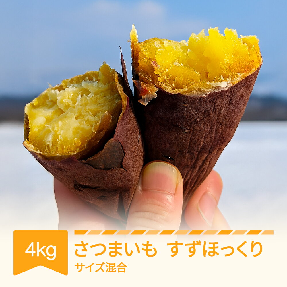 【ふるさと納税】さつまいも すずほっくり 約4kg 村山市産 2025年産 令和七年 山形県産 芋 no-spshx4 送料無料 ※沖縄・離島への配送不可