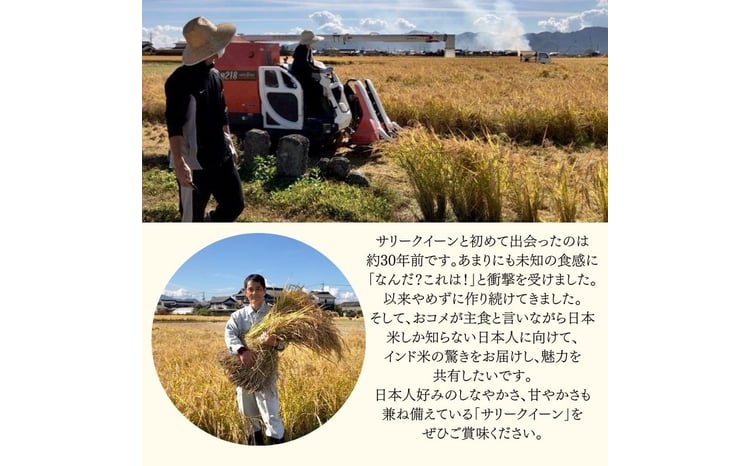 令和7年産 サリークイーン500g×4袋 香り米 米 こめ