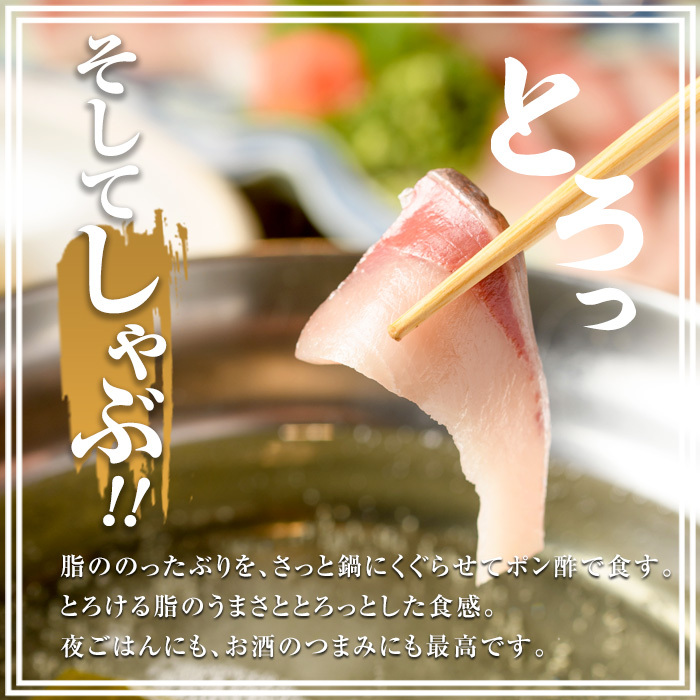 ＜2024年12月29日発送予定＞ぶりの王様「 鰤王 」 まるごと 1本 (約4.5kg) 産地直送 新鮮 旨味が抜群の 長島町 特産品 ブランド ぶり 鰤 ブリ 切り身 真空 冷蔵 刺身 ぶりしゃぶ