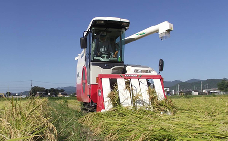 【令和5年産】甲良米 特別栽培コシヒカリ 無洗米 5kg 10ヶ月連続