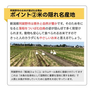 【新米】【6回定期便】米杜氏 新潟県阿賀野市産 特別栽培米コシヒカリ6kg（2kg×3袋）×6回 1H38079