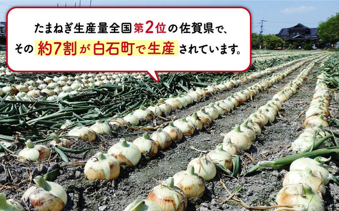 【玉ねぎの名産地！】白石産 新たまねぎ 約5kg【道の駅しろいしカンパニー】 [IAA030]