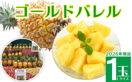 2026年発送【羽地の駅】ゴールドバレル1玉（Lサイズ）1.5kg以上 沖縄 おきなわ 国産 県産 フルーツ 人気 こだわり ギフト くだもの あまい お取り寄せ お土産 食べ物 果物 パイン ご当地 やんばる 冷蔵 トロピカル 夏