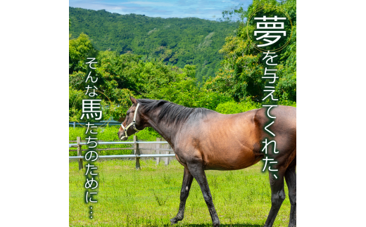 競走馬 引退後はどこへ？ 黒潮友馬会応援 【1億5,000万円コース】 1億5000万円コース