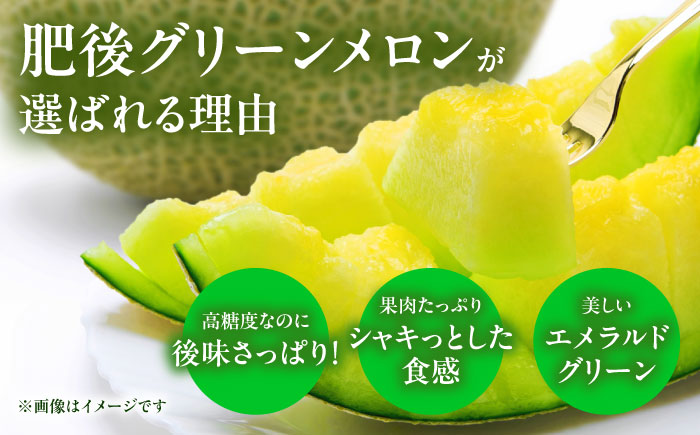 【数量限定】【先行予約】肥後グリーン メロン 1玉＆小玉 すいか 1玉【合同会社 福福堂】 [ZCN004]