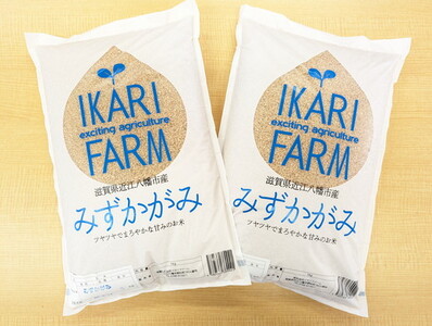 【新米】【7年産】 みずかがみ 玄米 10kg ( 5kg × 2袋 ) 冷めても美味しい あっさりとした味わい 【C018U1】近江米 みずかがみ