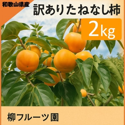 柿【先行受付】柳フルーツ園(訳あり)たねなし柿 約2kg