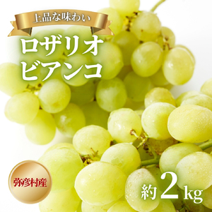 【令和8年産 先行予約】 ロザリオビアンコ ぶどう 約2kg | 新潟県
