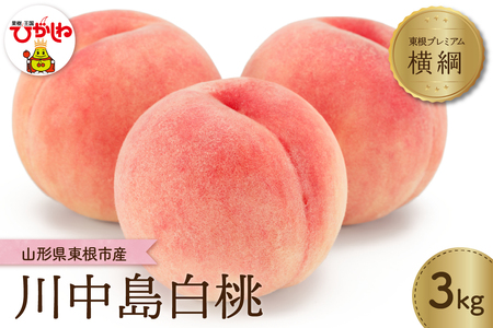 【2026年産 先行予約】 もも「【横綱】川中島白桃」3kg JA提供 山形県 東根市 hi003-155