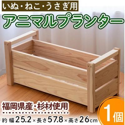 ふるさと納税 春日市 可愛いイヌ、ネコ、ウサギのアニマルプランター