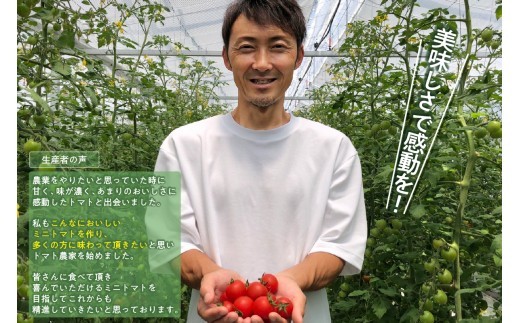 トマトFarm早川 トマトジュース　200ml×6本｜トマト ミニトマト トマトジュース 甘い 高糖度 オーガニック 愛知県 知多市