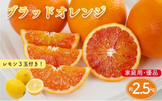 【先行予約】ブラッドオレンジ 家庭用(優品) 約2.5kg & 瀬戸内海の島レモン 3玉 セット | 柑橘 レモン みかん 蜜柑 mikan 檸檬 オレンジ ブラッドオレンジ おれんじ かんきつ セット【2026年3月下旬頃から発送予定】 瀬戸内海 愛媛県 松山市 ココオ Koko'o