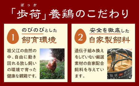 元祖 「尾張名物とり餃子」 90個 / 餃子 ニンニク不使用 冷凍 ギョーザ 生餃子 おつまみ / 稲沢市 / 平飼い自然卵歩荷 [BMBM006]
