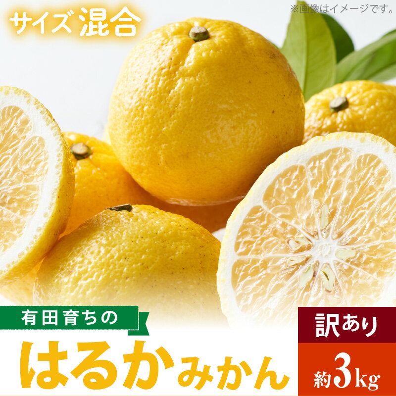 【ふるさと納税】【限定】 【2026年先行予約】【人気柑橘】有田育ちの はるか みかん 【訳あり 家庭用】 3kg (サイズ混合)【ミカン 蜜柑 春みかん 柑橘 和歌山 有田 日向夏】