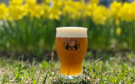 クラフトビール　定番4種類と限定2種類　計 350ml×6本セット【配送不可地域：離島】【1653310】