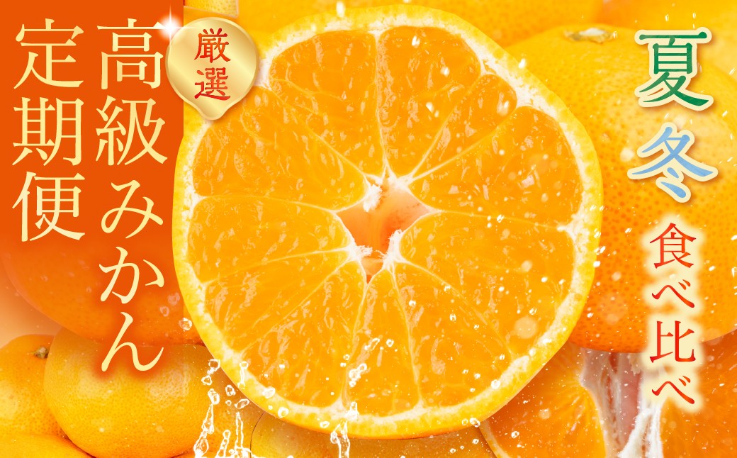みかん 全2回 高級みかん 食べ比べ定期便 冬 夏 甘い ハウスみかん ミカン 蜜柑 mikan フルーツ 果物 旬 くだもの 贈答 蜜ツ丸 みかん 全2回 みかん 全2回 みかん 全2回 みかん 全2回 みかん 全2回 みかん 全2回 みかん 全2回 みかん 全2回 みかん 食べ比べ定期便 みかん 食べ比べ定期便 みかん 豊橋 みかん 豊橋 みかん 食べ比べ定期便 みかん 豊橋 みかん 豊橋