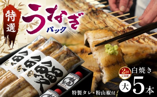 【定期2回】特選うなぎパック５本セット タレ、粉山椒付 | 特選うなぎ 贅沢うなぎ 5本セット 高級うなぎ 肉厚 炭火焼うなぎ 贅沢 肉厚うなぎ蒲焼特選 炭火焼うなぎ ギフト ふるさと納税 栃木県 那珂川町 送料無料