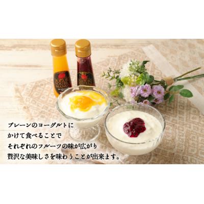 ふるさと納税 天城町 徳之島 天城町 宝果樹園 濃厚ヨーグルトソース4本セット マンゴー ドラゴンフルーツ |  | 03