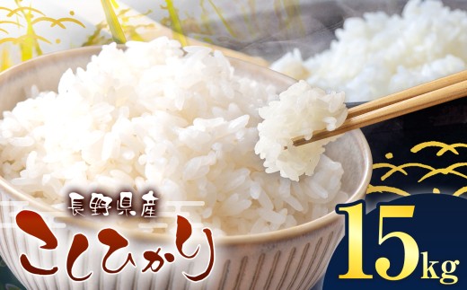 伊那市産 こしひかり 15kg｜ 米 コシヒカリ こしひかり 白米 ご飯 お米 伊那 伊那産 長野県 ふるさと納税 【039-04】