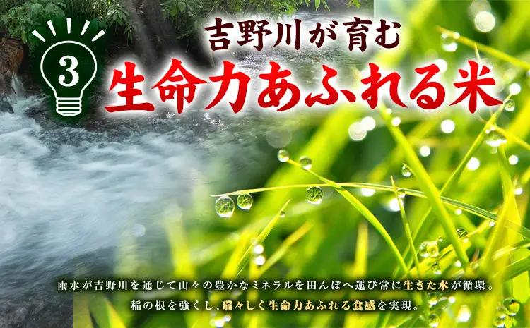 米 ヒノヒカリ 10kg JA徳島県脇町営農経済センター  米 こめ 