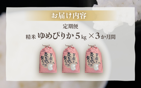 ■3ヵ月連続お届け　【定期便 3回】 北海道 豊浦 令和7年度産 精米 ゆめぴりか 5kg TYUQ009