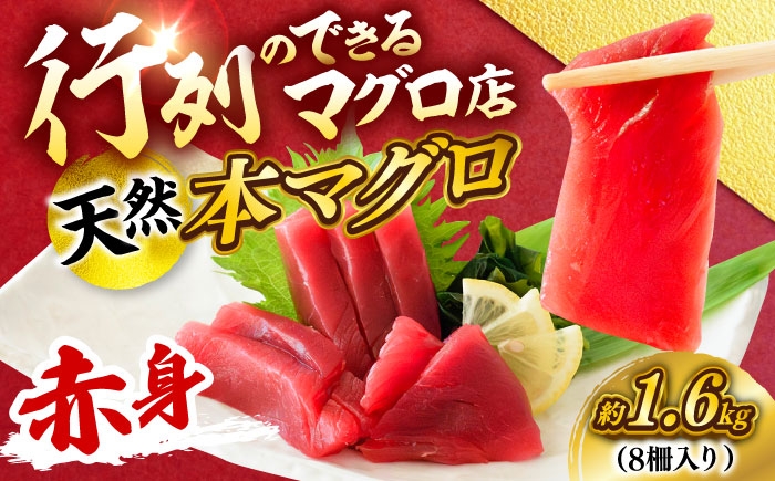 
                  天然 本まぐろ 赤身 計約1.6kg （8柵入り）マグロ 赤身 三崎まぐろ 天然 柵 刺身 お刺身 お取り寄せ 刺身 お刺身 海鮮 旨味【横須賀商工会議所 おもてなしギフト事務局（本まぐろ直売所 横須賀本店）】 [AKAK099]
                