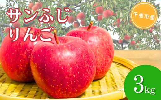【2025年先行予約】りんご サンふじ  約3kg 果物 フルーツ 長野県産 千曲市 信州