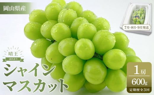 【定期便 全3回／2025年7・8・9月発送】岡山県産 シャインマスカット 晴王 1房 約600g ３回定期便　７月・８月・９月に１回づつお届け　種無し 皮ごと食べる フレッシュ 先行受付　ハレノフルーツ