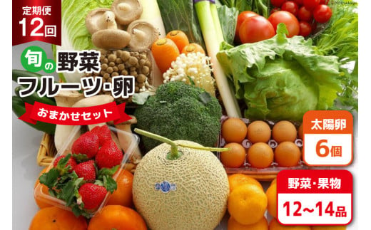 BF059 【12回定期便】旬の野菜・フルーツ (12〜14品目)・卵 (6個) おまかせ セット【 野菜 果物 卵 やさい くだもの 果物 タマゴ たまご 詰め合わせ 江戸屋 長崎県 島原市 】