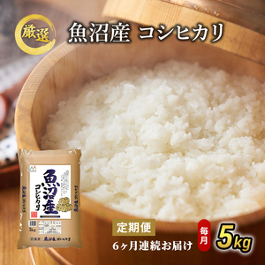 魚沼産 コシヒカリ 5kg 6ヶ月 連続お届け ( 米 定期便 お米 こめ コメ おこめ 白米 こしひかり 6回 30kg お楽しみ ) 