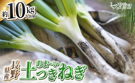 土付き ネギ 約10kg 【2026年10月～発送】| ネギ 葱 野菜 やさい 健康 大容量 長野県 飯田市