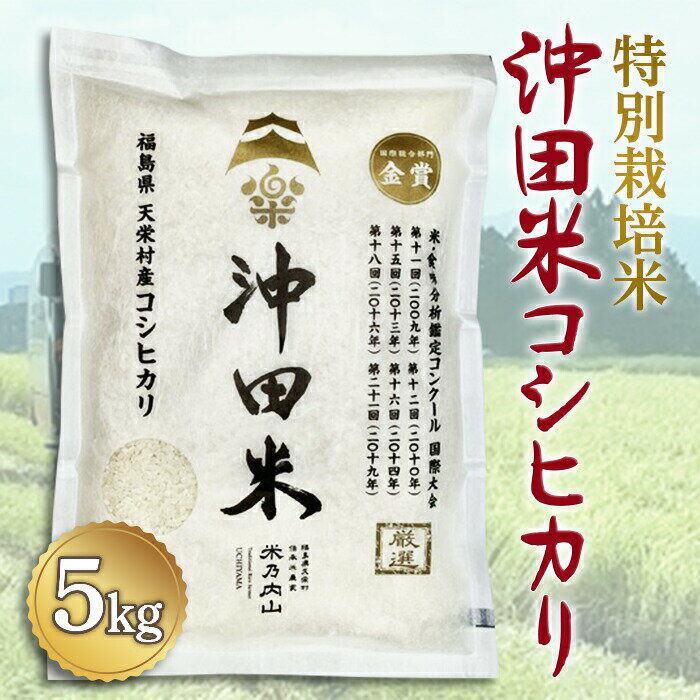 【ふるさと納税】令和7年産米 特別栽培米 沖田米コシヒカリ 5kg F21T-442