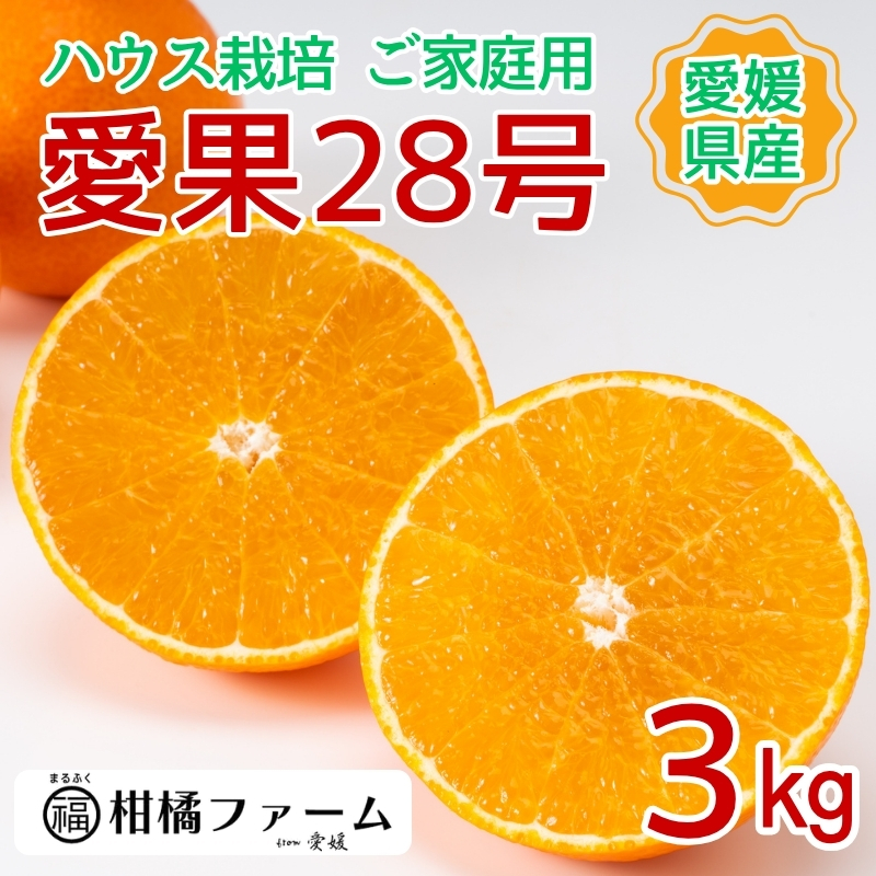 【2026年先行予約】みかん 愛果28号 3kg ご家庭用 紅まどんなと同一品種 農園直送【12月上旬から順次発送予定】 愛媛 数量限定 愛媛県産 人気 柑橘 国産 フルーツ 伊予市｜B443