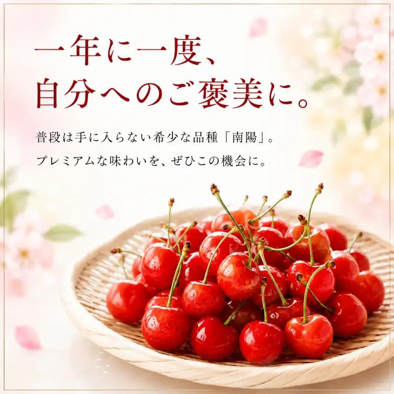 さくらんぼ 360g 南陽 Lサイズ以上 サクランボ