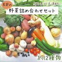 【ふるさと納税】AS01：ふるさと野菜の詰め合わせ