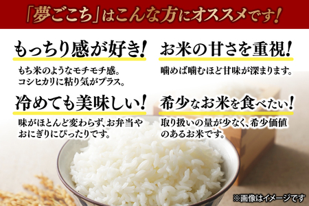 夢ごこち 「白米」 10kg | 米 お米 おにぎり ゆめごこち 岩手県産 (CA014)